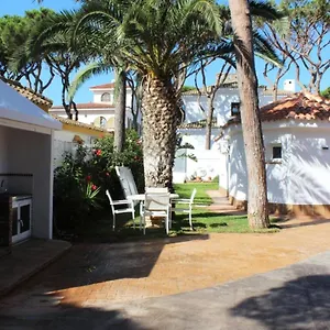 Pejerrey La Barrosa Chiclana de la Frontera